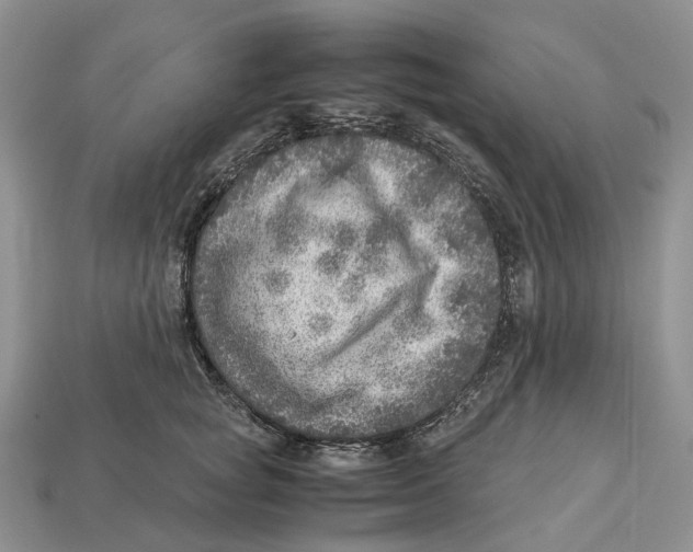 X0000112950757200909211154