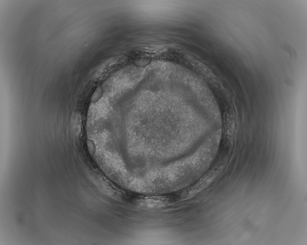 X0000112950758200909211154