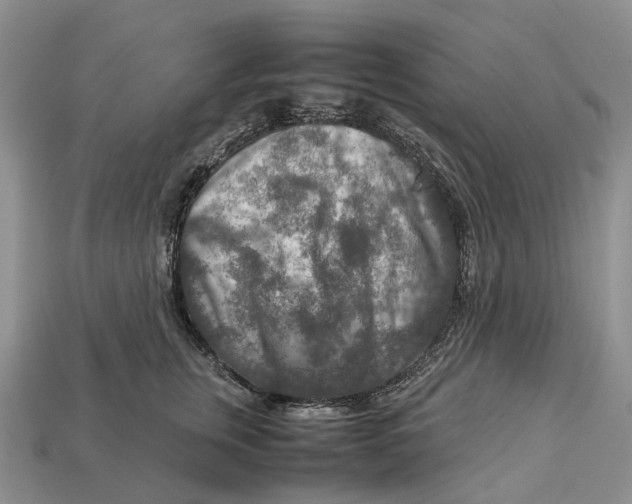 X0000112950759200909211154