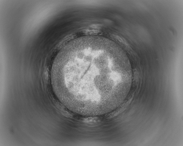 X0000112950761200909211154