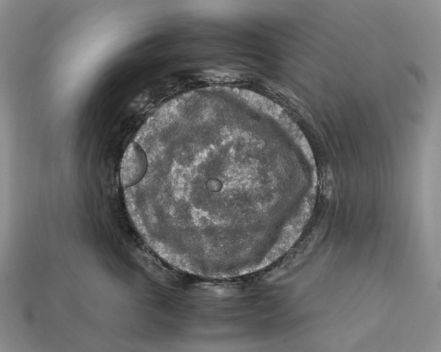 X0000112950763200909211154