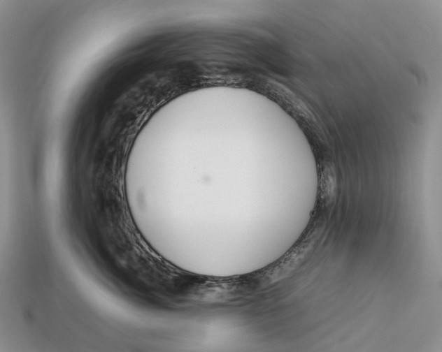 X0000112950764200909211154