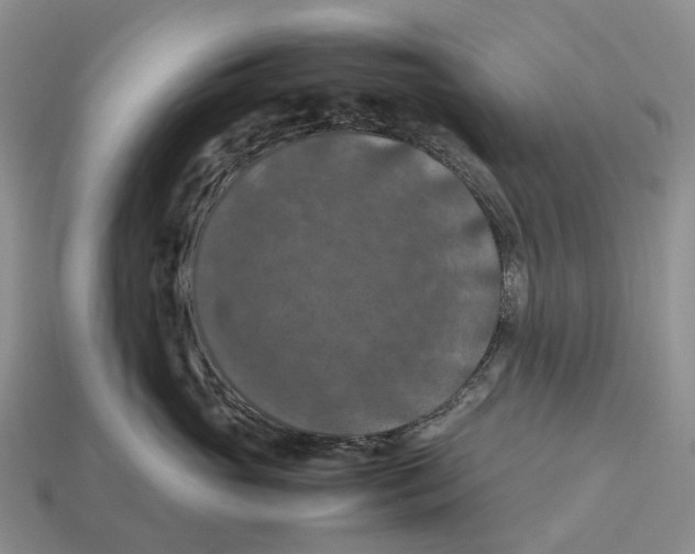 X0000112950765200909211154