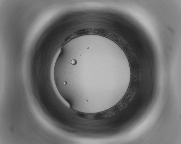 X0000112950766200909211154