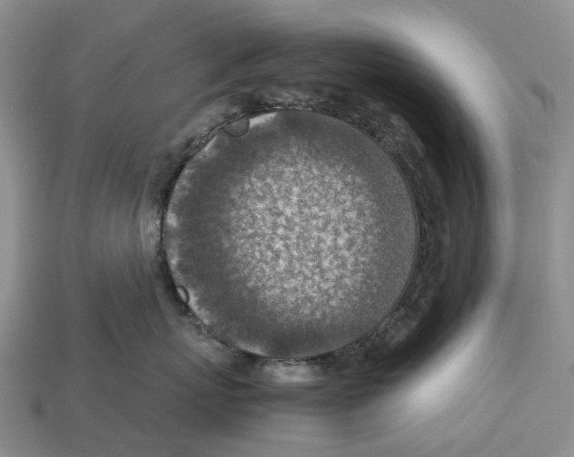 X0000112950767200909211154