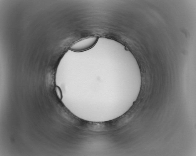 X0000112950768200909211154