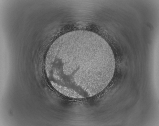 X0000112950769200909211154