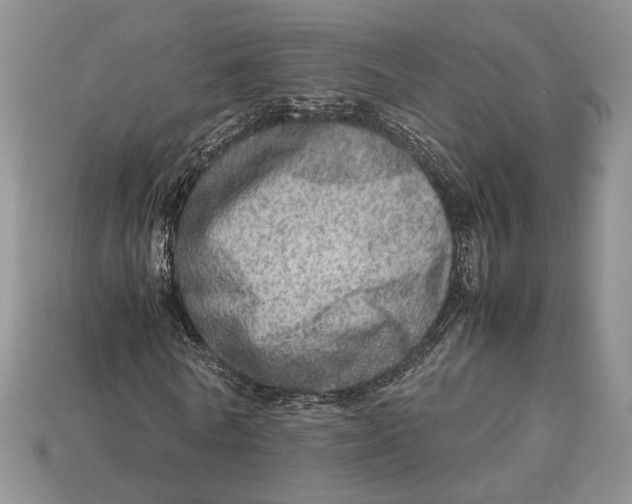 X0000112950770200909211154