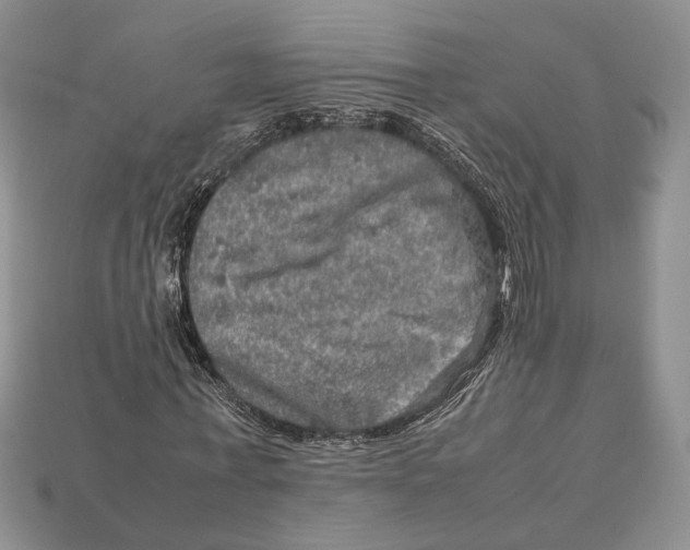 X0000112950771200909211154