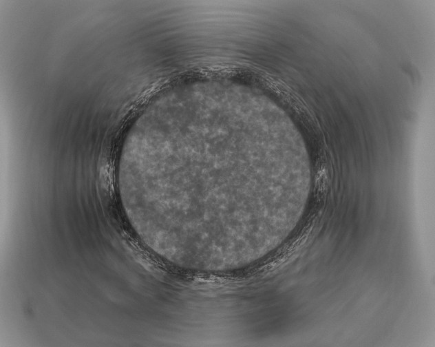 X0000112950772200909211154