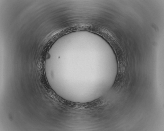 X0000112950773200909211154