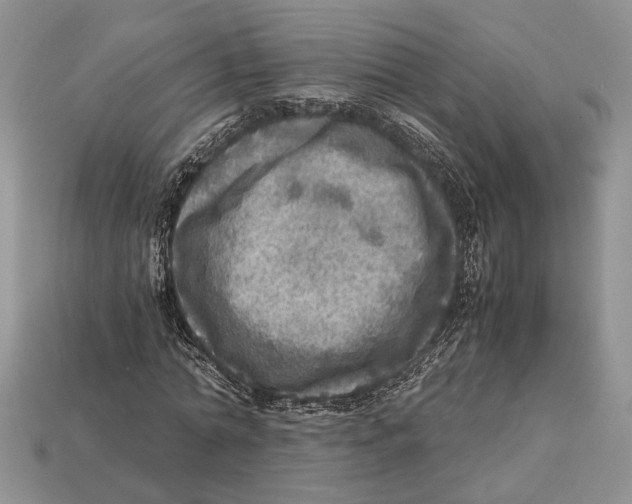 X0000112950774200909211154