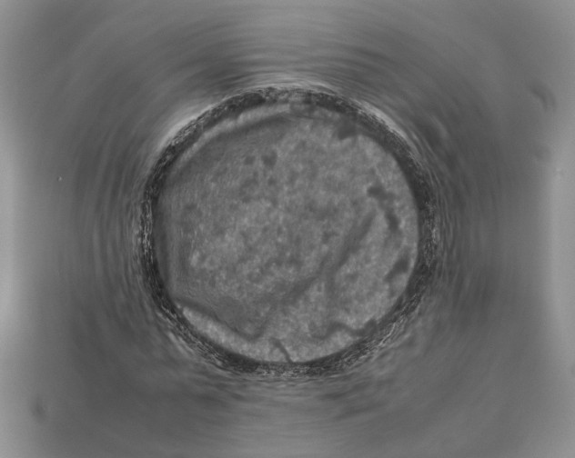 X0000112950775200909211154