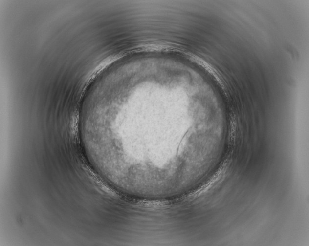 X0000112950778200909211153