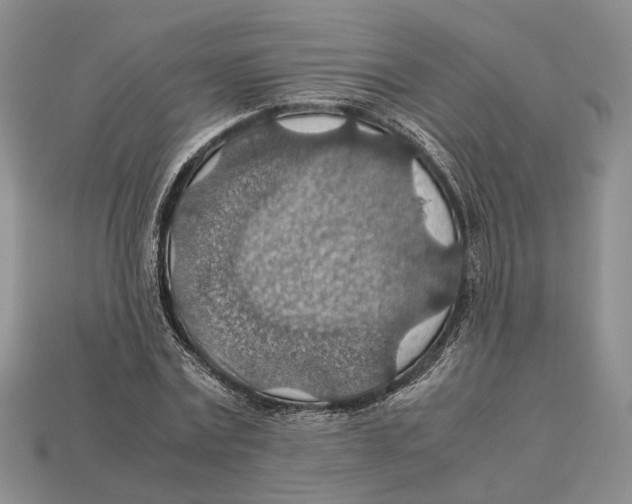 X0000112950779200909211153