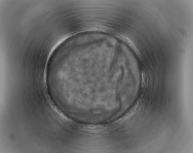 X0000112950780200909211153