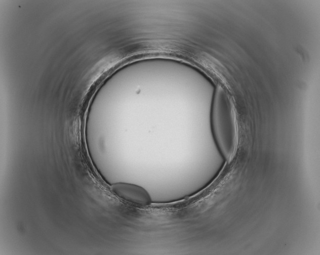 X0000112950781200909211153