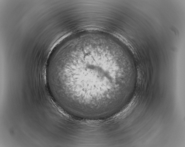 X0000112950782200909211153