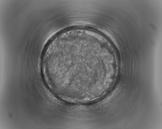 X0000112950783200909211153