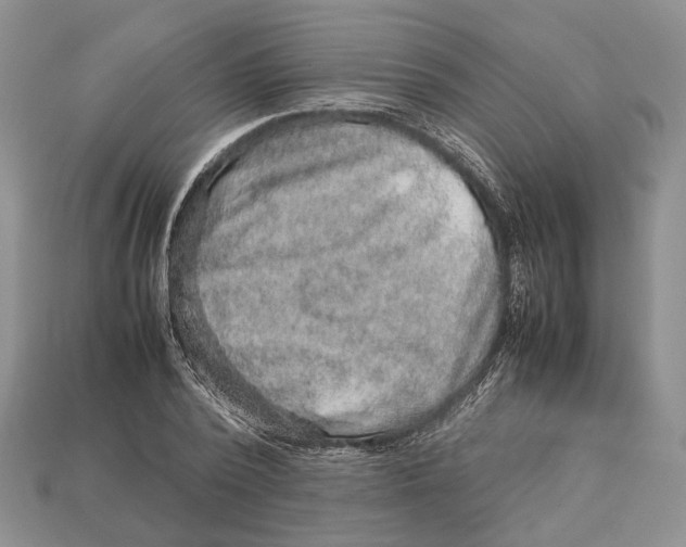 X0000112950784200909211153