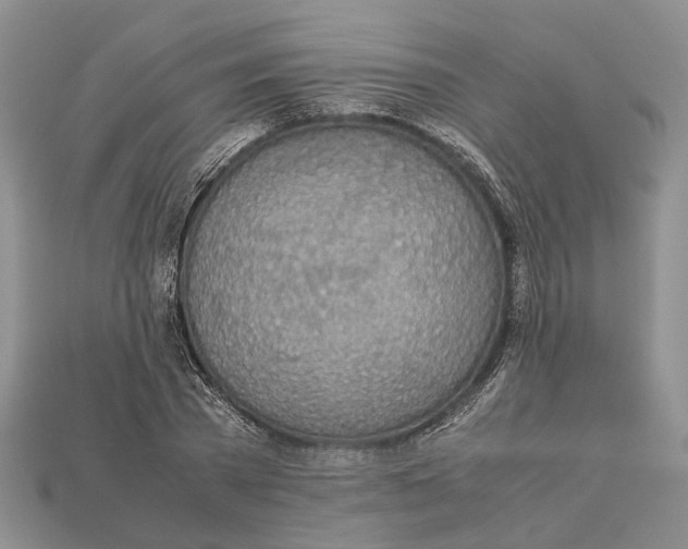 X0000112950785200909211153