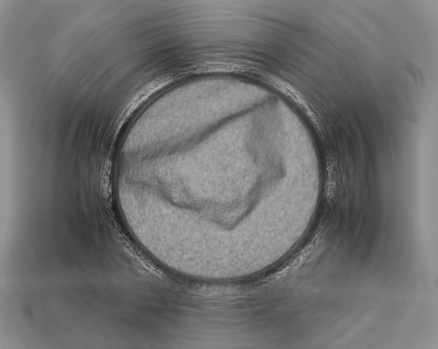 X0000112950786200909211153