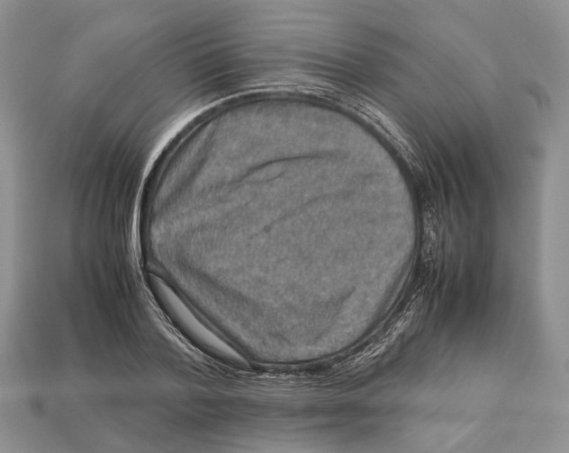 X0000112950788200909211153