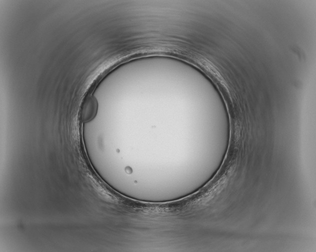 X0000112950789200909211153