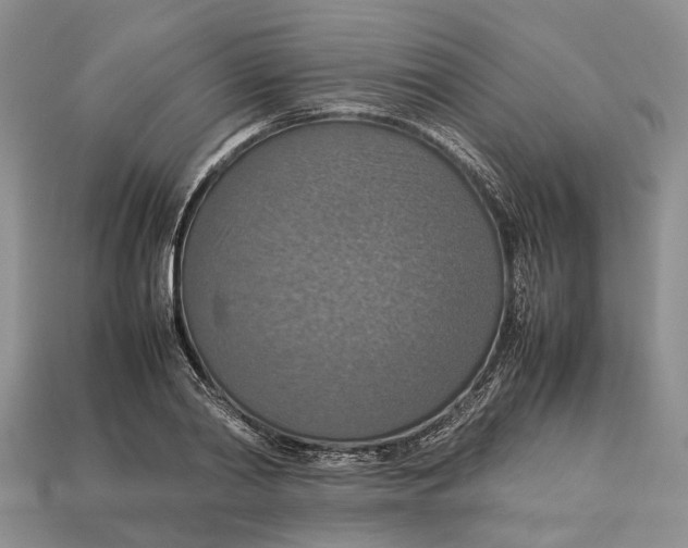 X0000112950790200909211153