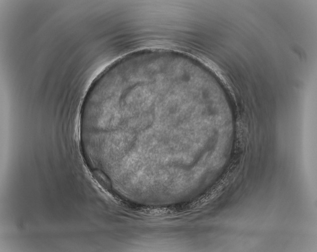 X0000112950791200909211153