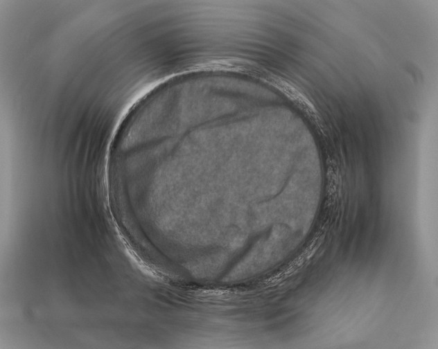 X0000112950792200909211153