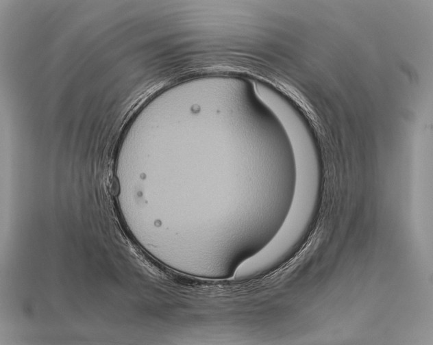 X0000112950793200909211153