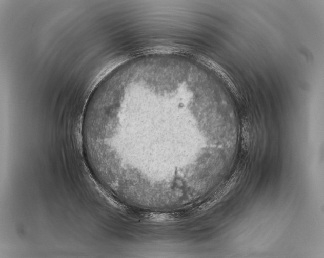 X0000112950794200909211153