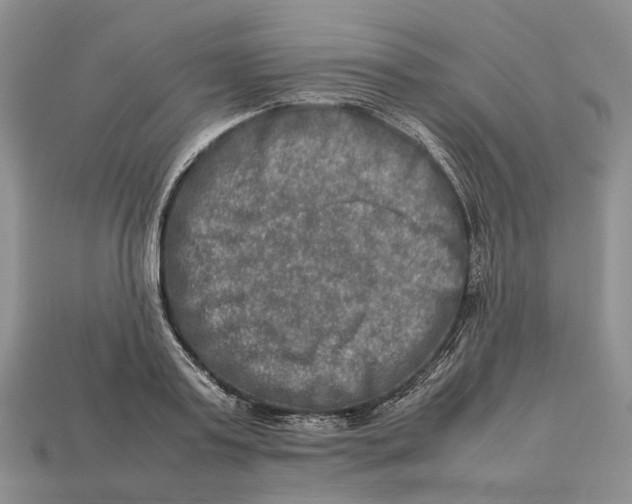 X0000112950795200909211153