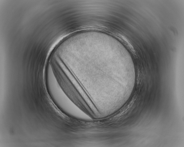 X0000112950796200909211153