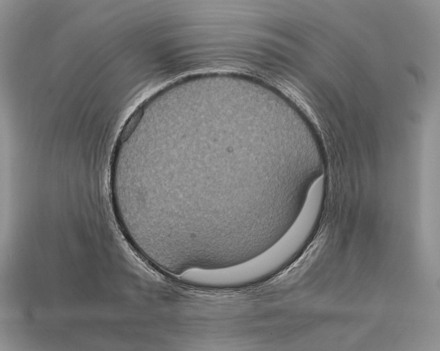 X0000112950797200909211153