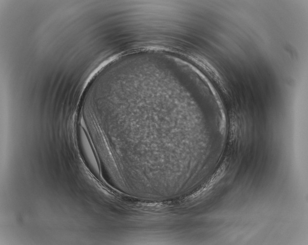 X0000112950798200909211153