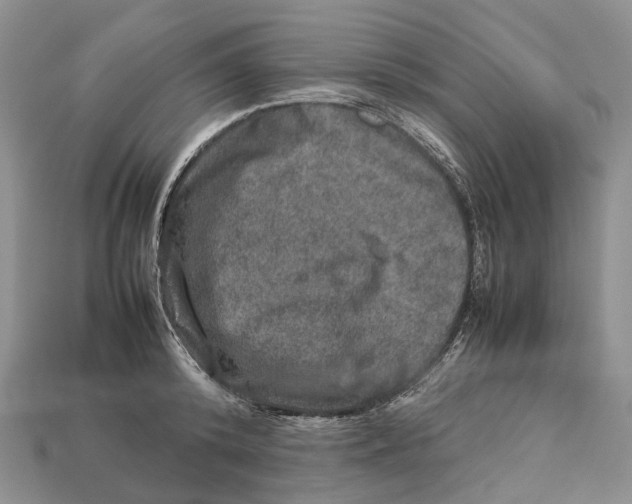 X0000112950800200909211153