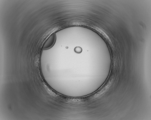 X0000112950801200909211153