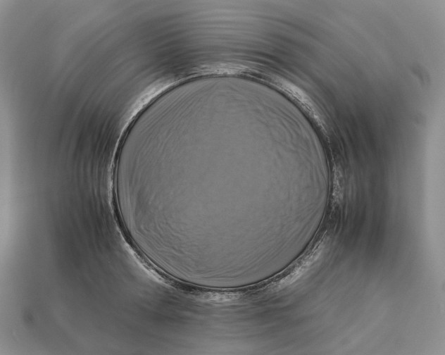 X0000112950802200909211153