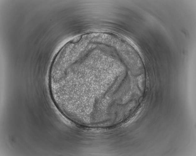 X0000112950803200909211153