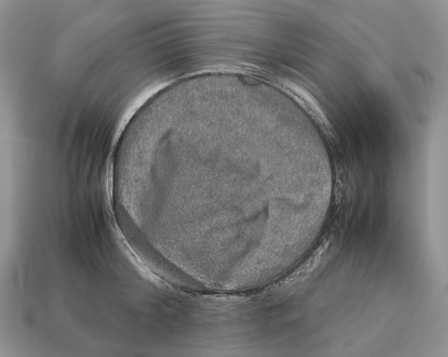 X0000112950804200909211153