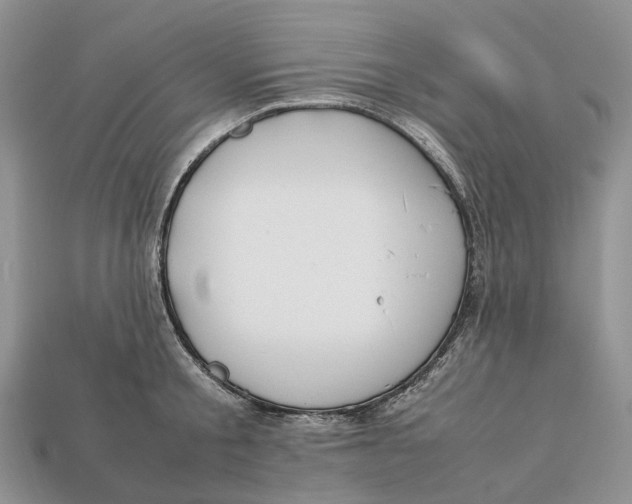 X0000112950805200909211153