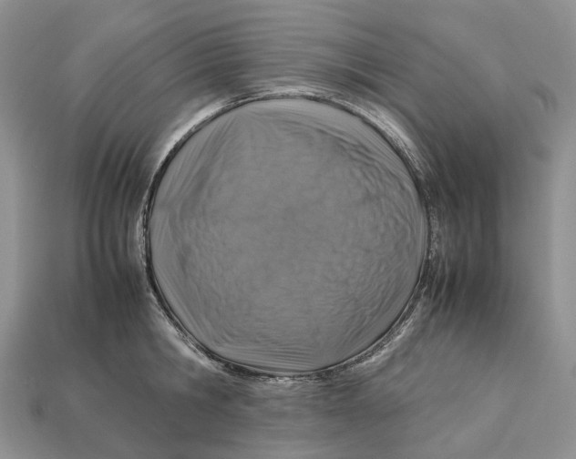 X0000112950806200909211153