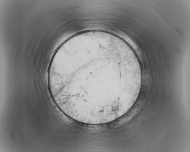 X0000112950807200909211153