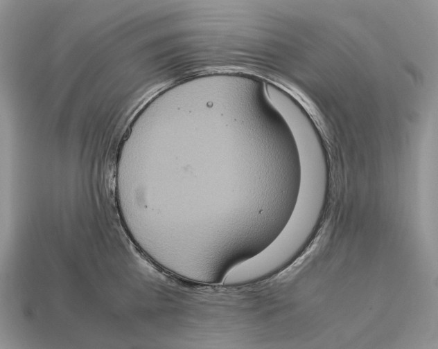 X0000112950809200909211153