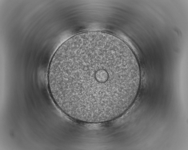 X0000112950810200909211153