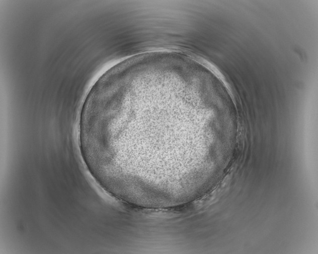 X0000112950811200909211153