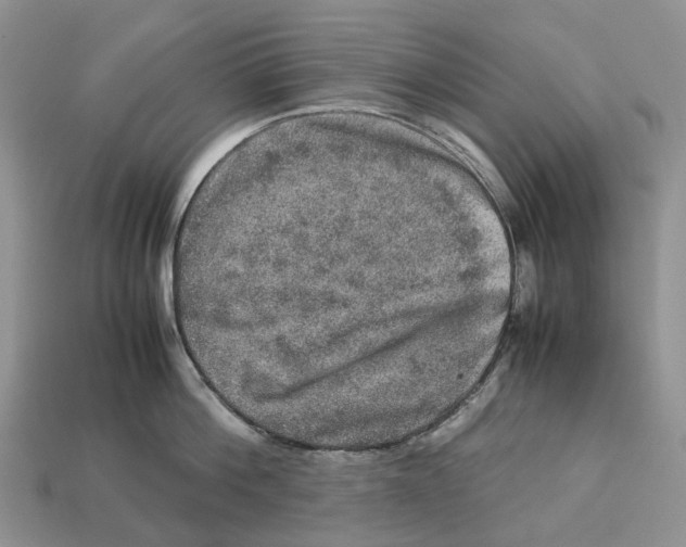 X0000112950812200909211153