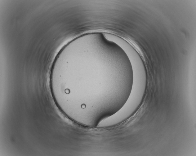 X0000112950813200909211153